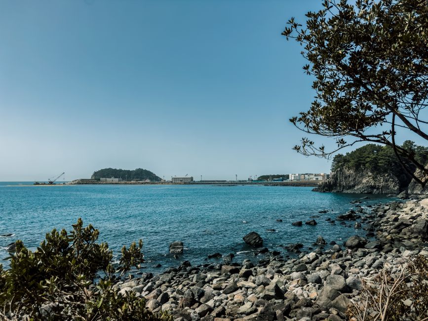 제주도 혼자 떠나기 전, 제가 진짜 챙겨갔던 것들 (3박 4일 후기)
